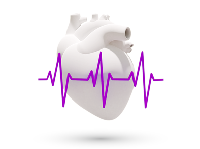 Kardiovaskularni sistem