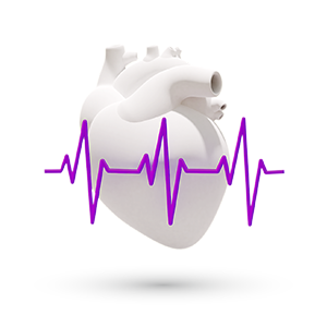 Kardiovaskularni sistem
